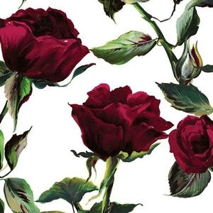 Meet your Posher, Tawnya